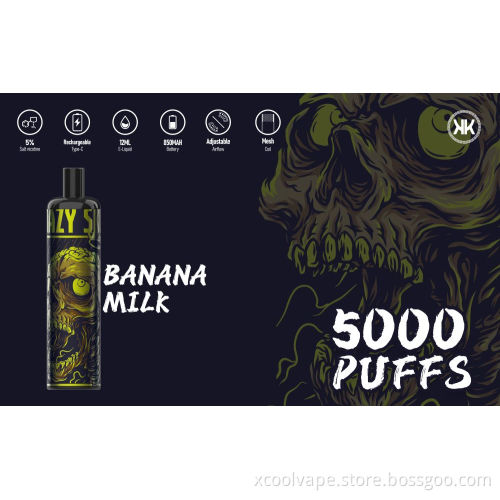 Russia hot Disposable Vape Pen 5000 puffs